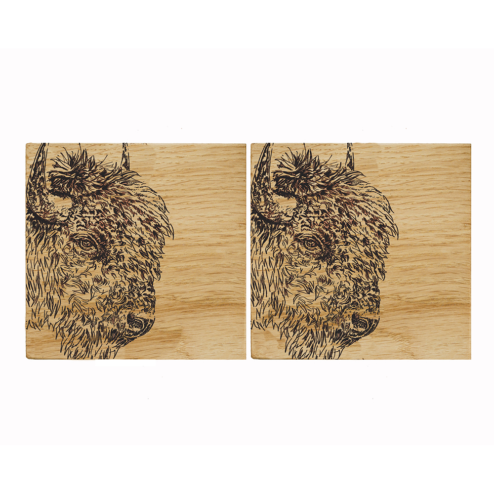 Picture of 2 Bison Oak Coasters
