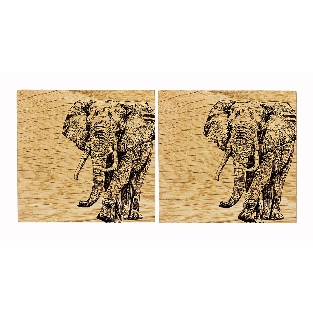 Picture of 2 Oak Coasters - Elephant
