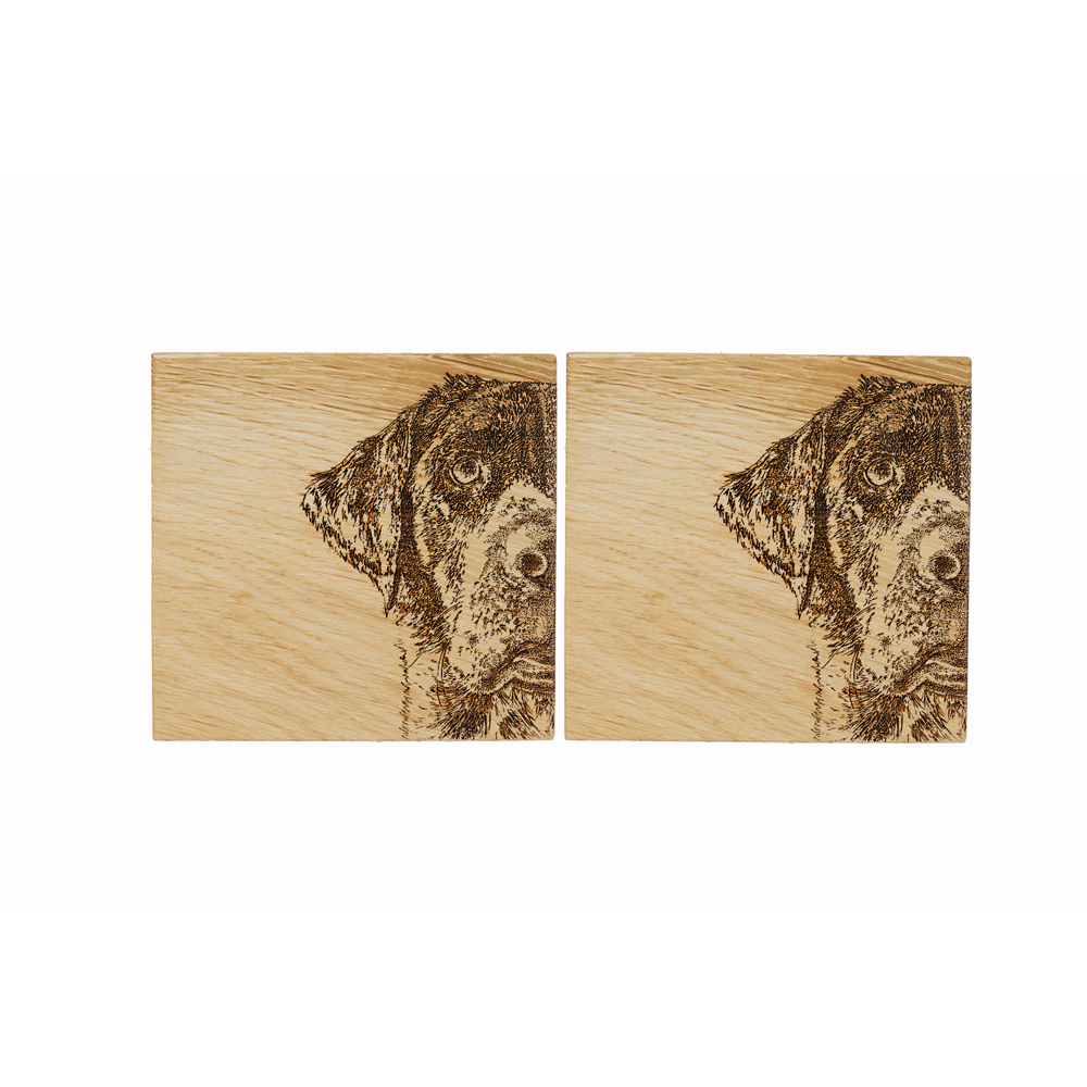 Picture of 2 Labrador Oak Coasters