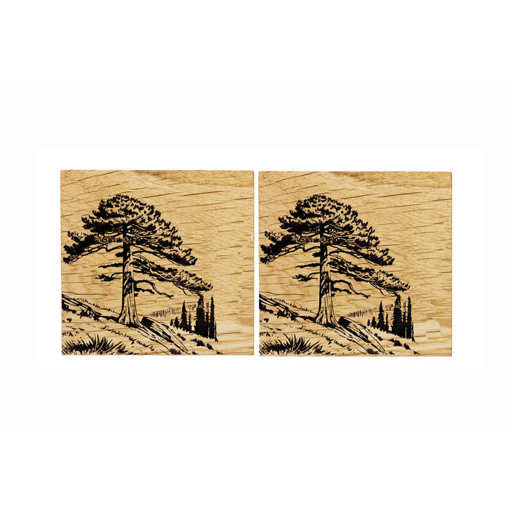 Picture of 2 Oak Coasters - Red Cedar Tree