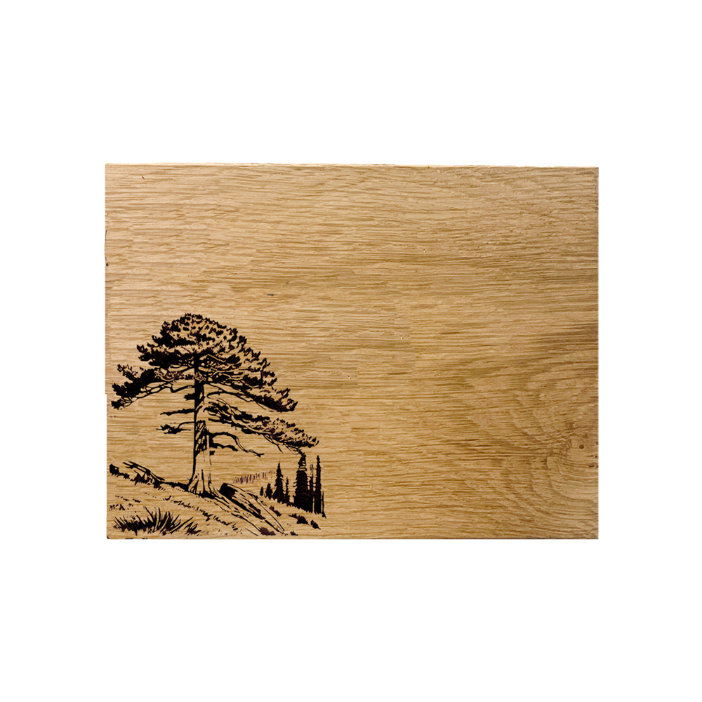 Picture of Oak Serving Board - 30cm - Red Cedar Tree