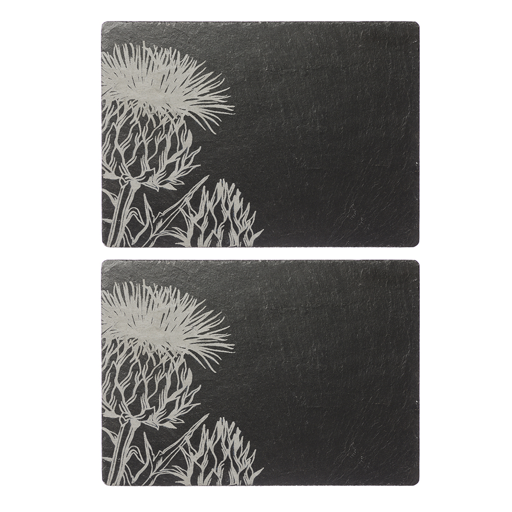 Picture of 2 Contemporary Thistle Slate Place Mats