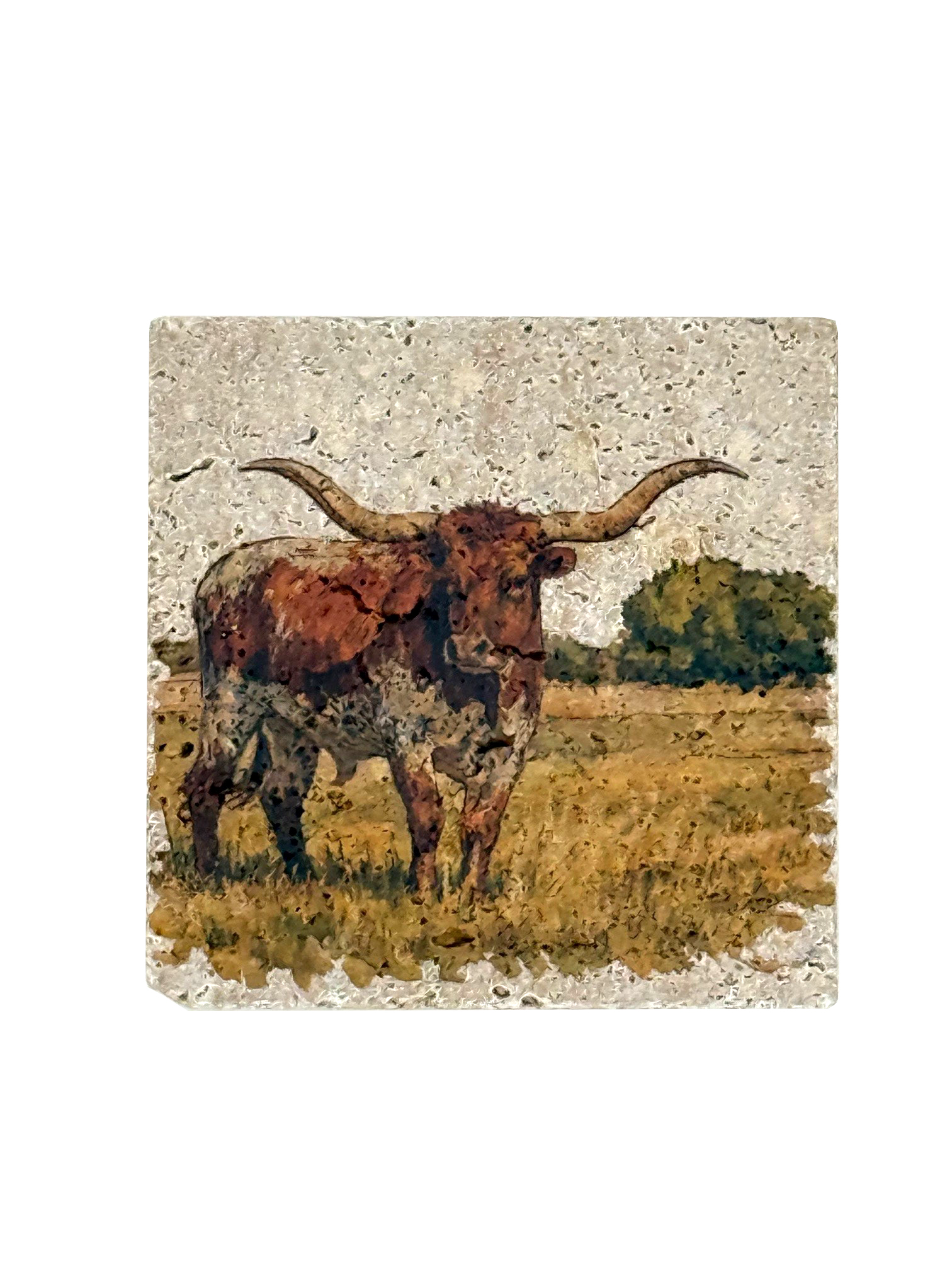 Picture of Single Stone Coaster - Water Colour Texas Longhorn