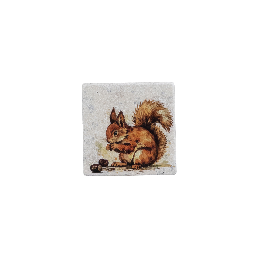 Picture of Single Stone Coaster - Squirrel