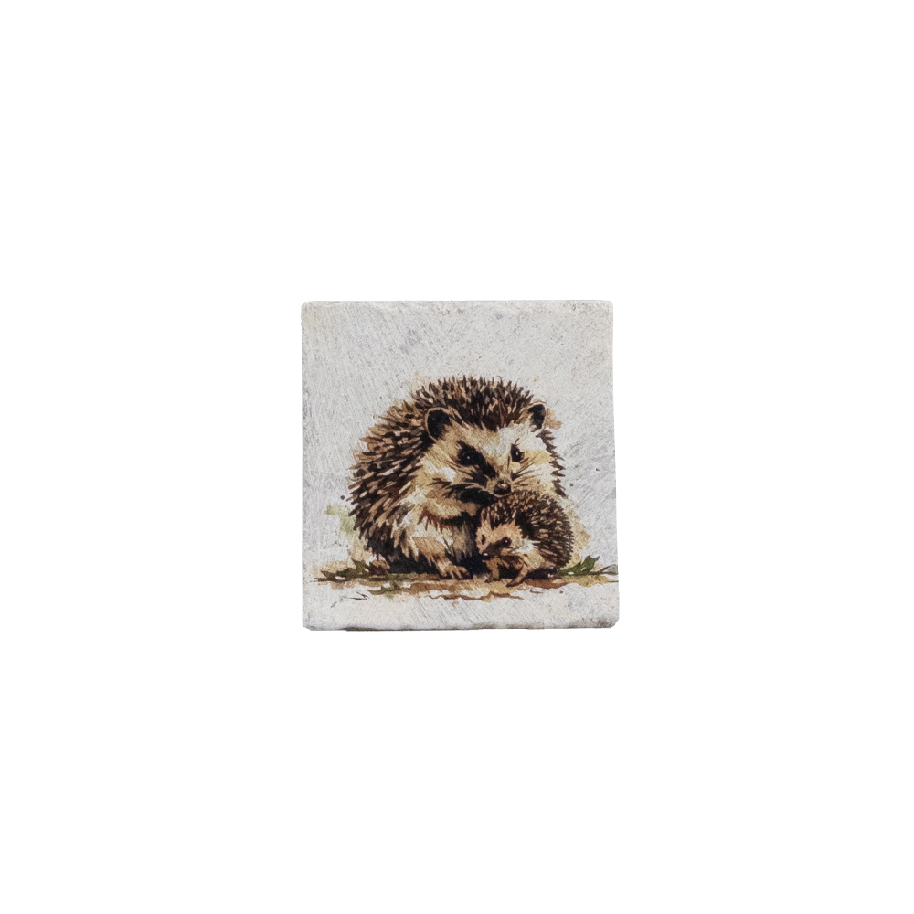 Picture of Single Stone Coaster - Hedgehog
