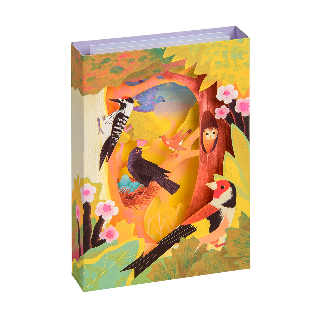 Picture of British Birds - 3D Panoramic Card (12107)