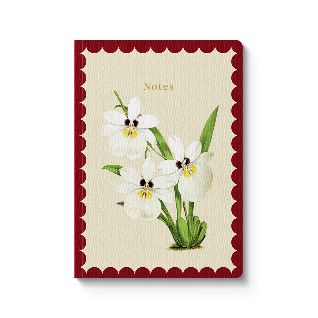 Picture of White Orchid Paperback Notebook (A5) (12904)