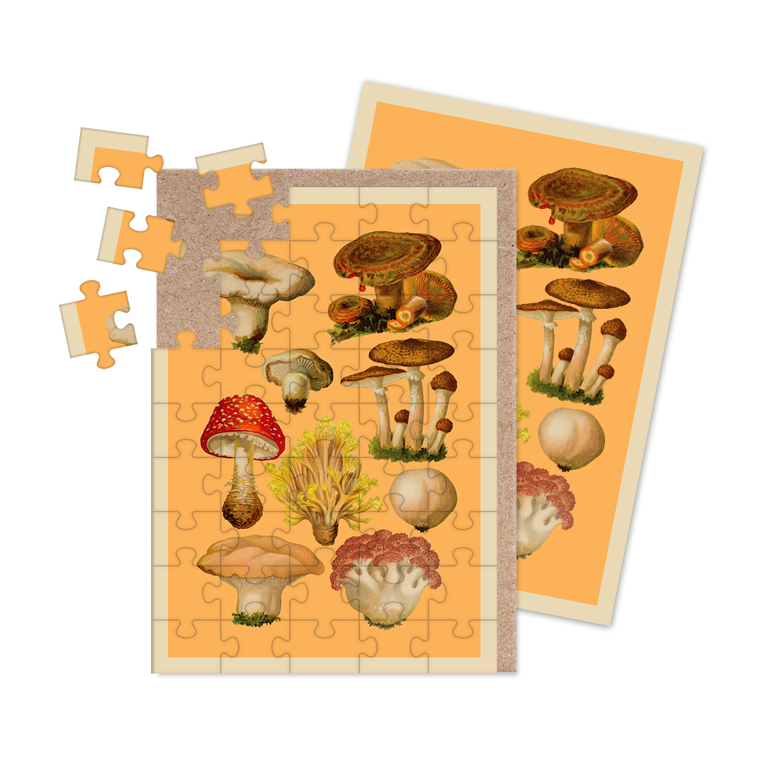 Picture of Fungi Collection Jigsaw Greeting Card (12941)