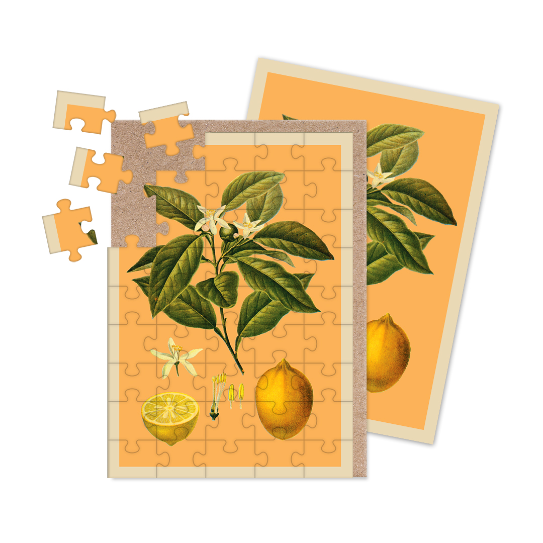Picture of Lemons Jigsaw Greeting Card (12943)