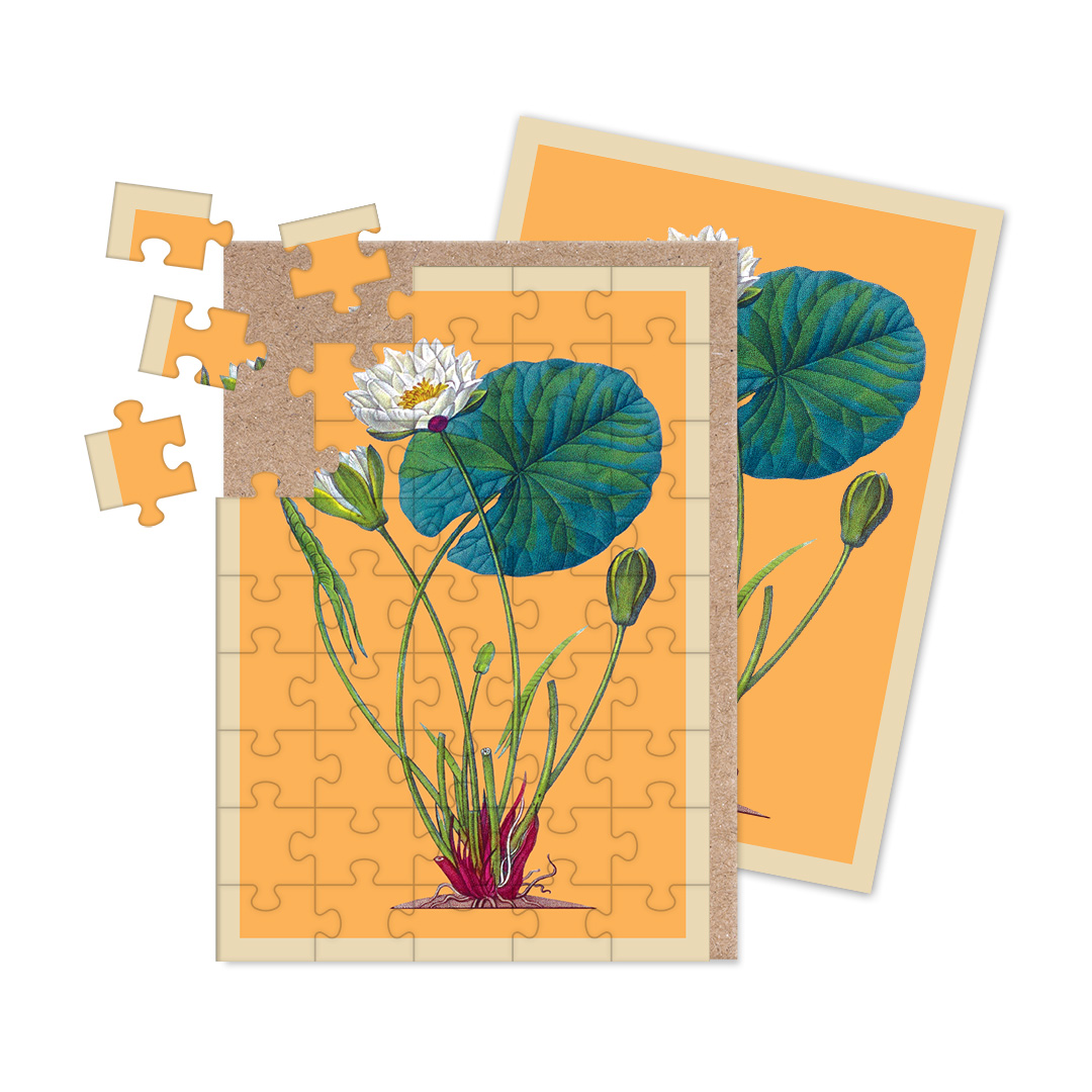 Picture of Pond Lily Jigsaw Greeting Card (12944)