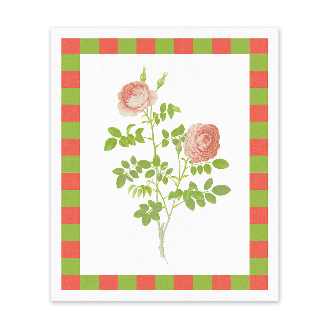 Picture of Rose Riso Print (10x12) (13284)