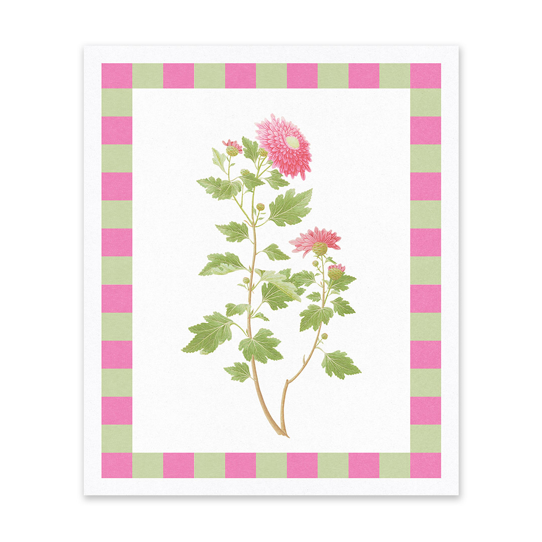 Picture of Chrysanthemum Riso Print (10x12) (13285)