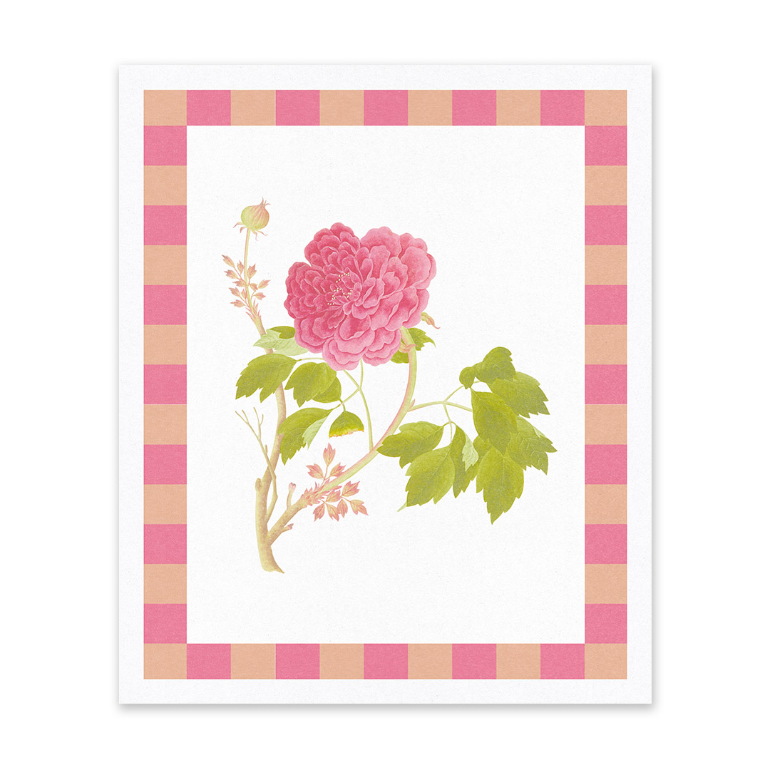 Picture of Tree Peony Riso Print (10x12) (13287)