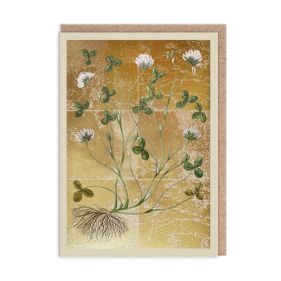 Picture of Clover Greeting Card (13319)