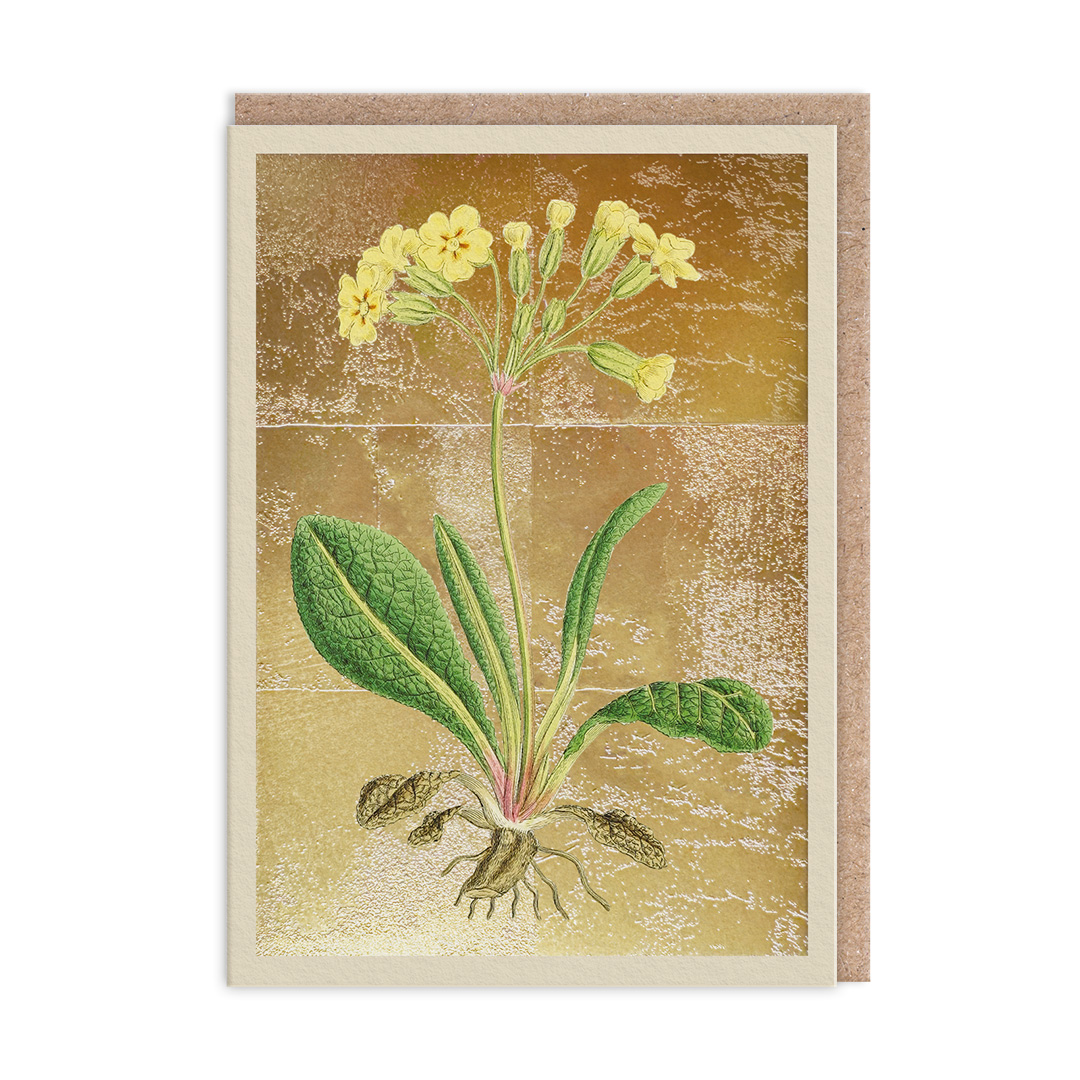 Picture of Cowslip Greeting Card (13320)