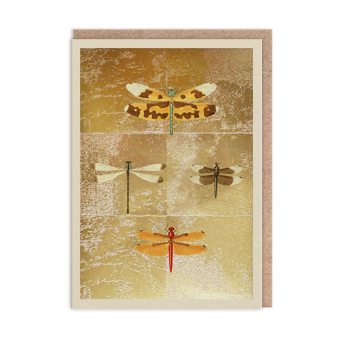 Picture of Dragonflies Greeting Card (13321)