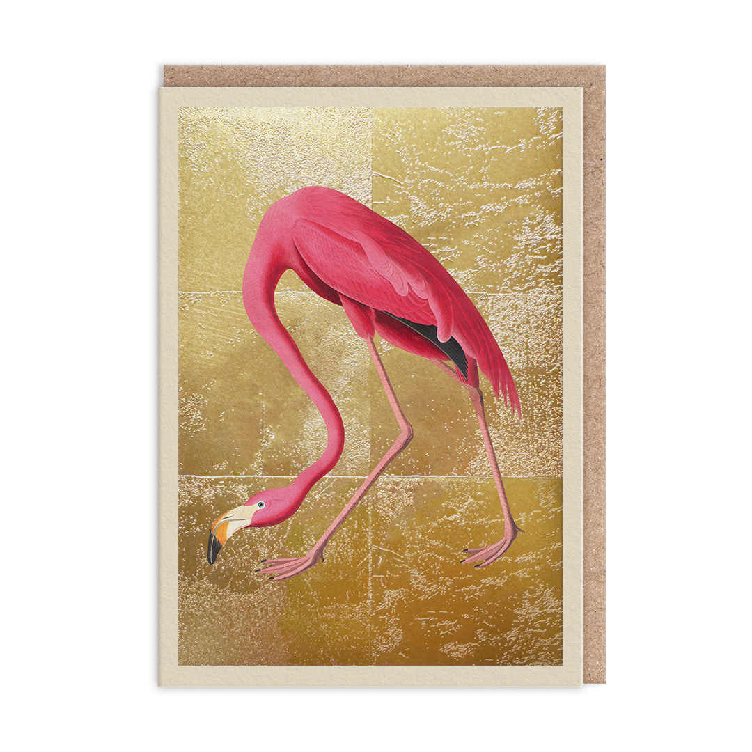 Picture of Greater Flamingo Greeting Card (13322)