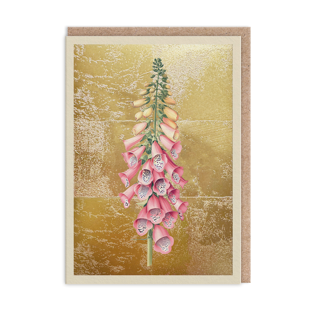 Picture of Foxglove Greeting Card (13324)
