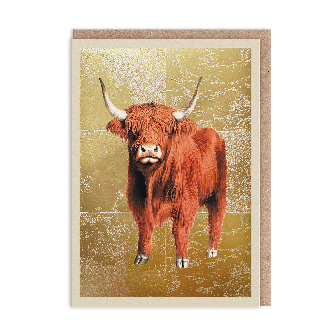 Picture of Highland Cow Greeting Card (13326)