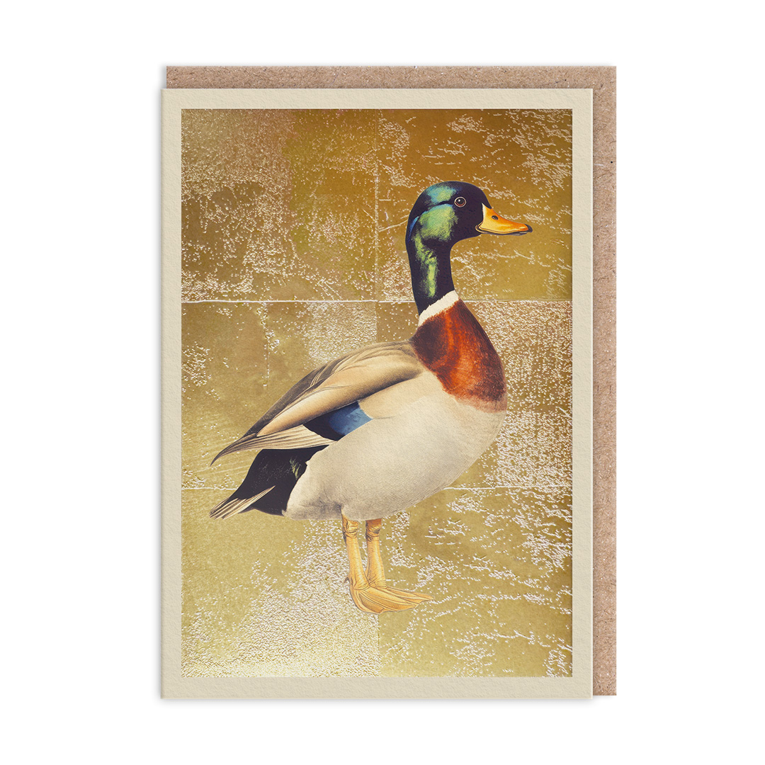 Picture of Mallard Greeting Card (13327)