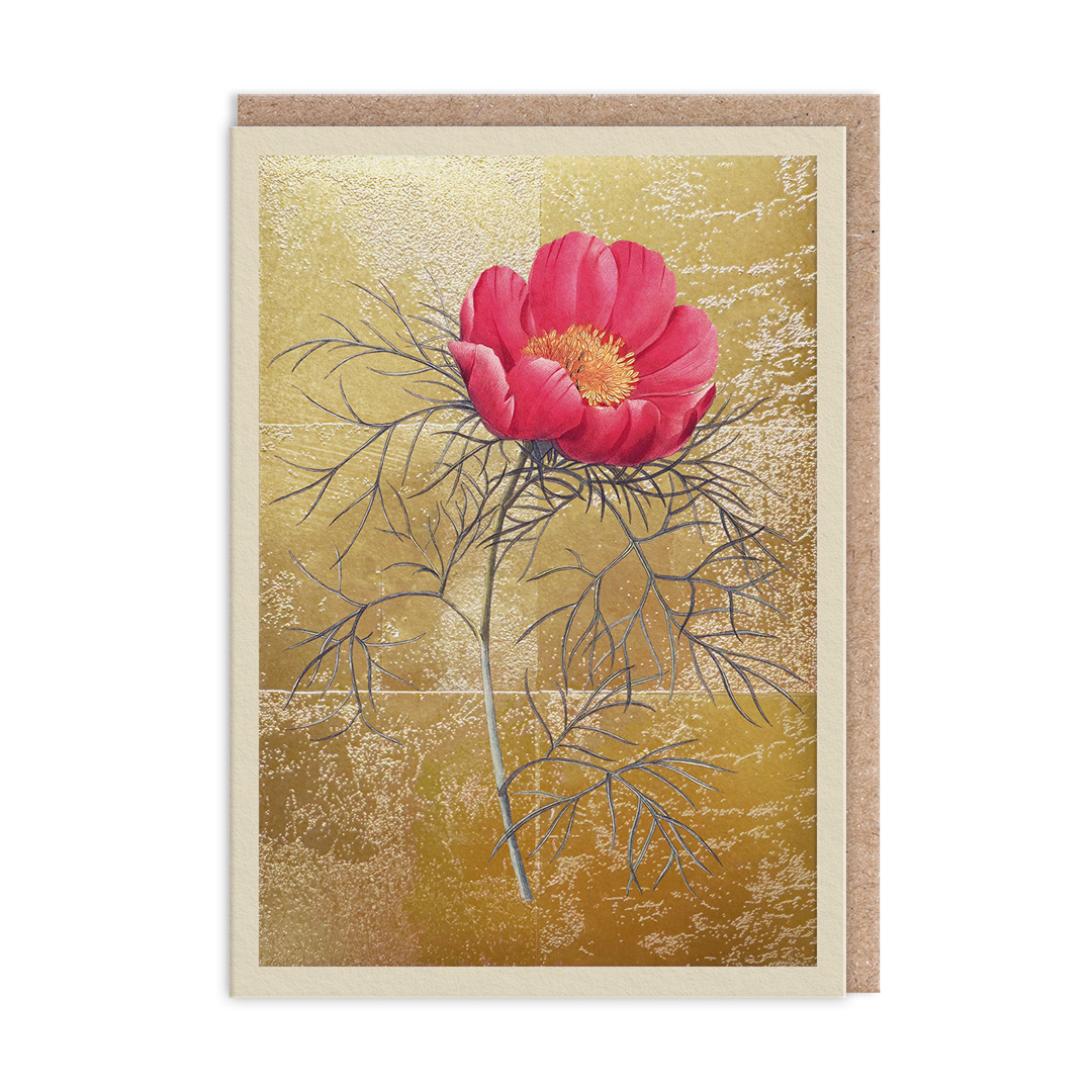 Picture of Peony Greeting Card (13330)