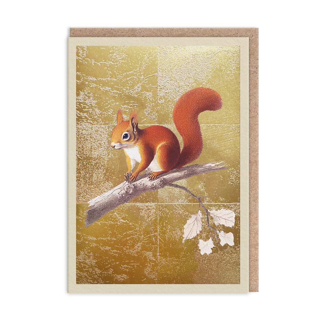 Picture of Red Squirrel Greeting Card (13331)
