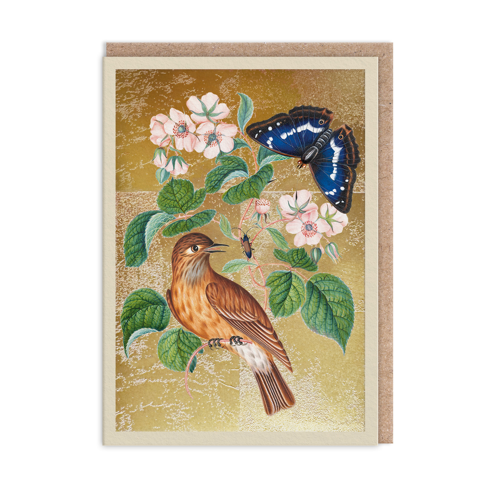 Picture of Wren Greeting Card (13332)