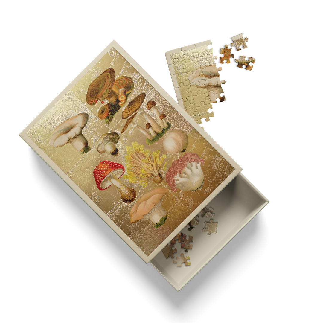Picture of Natural World Fungi Mini Jigsaw Puzzle (14166)