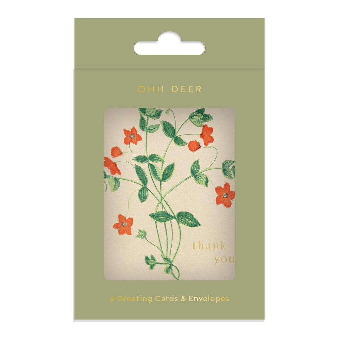 Picture of Among The Flowers Mini Cards (Pack of 6) (14230)