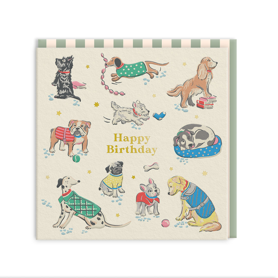 Picture of Dogs Greeting Card (105 x 105mm) (14268)