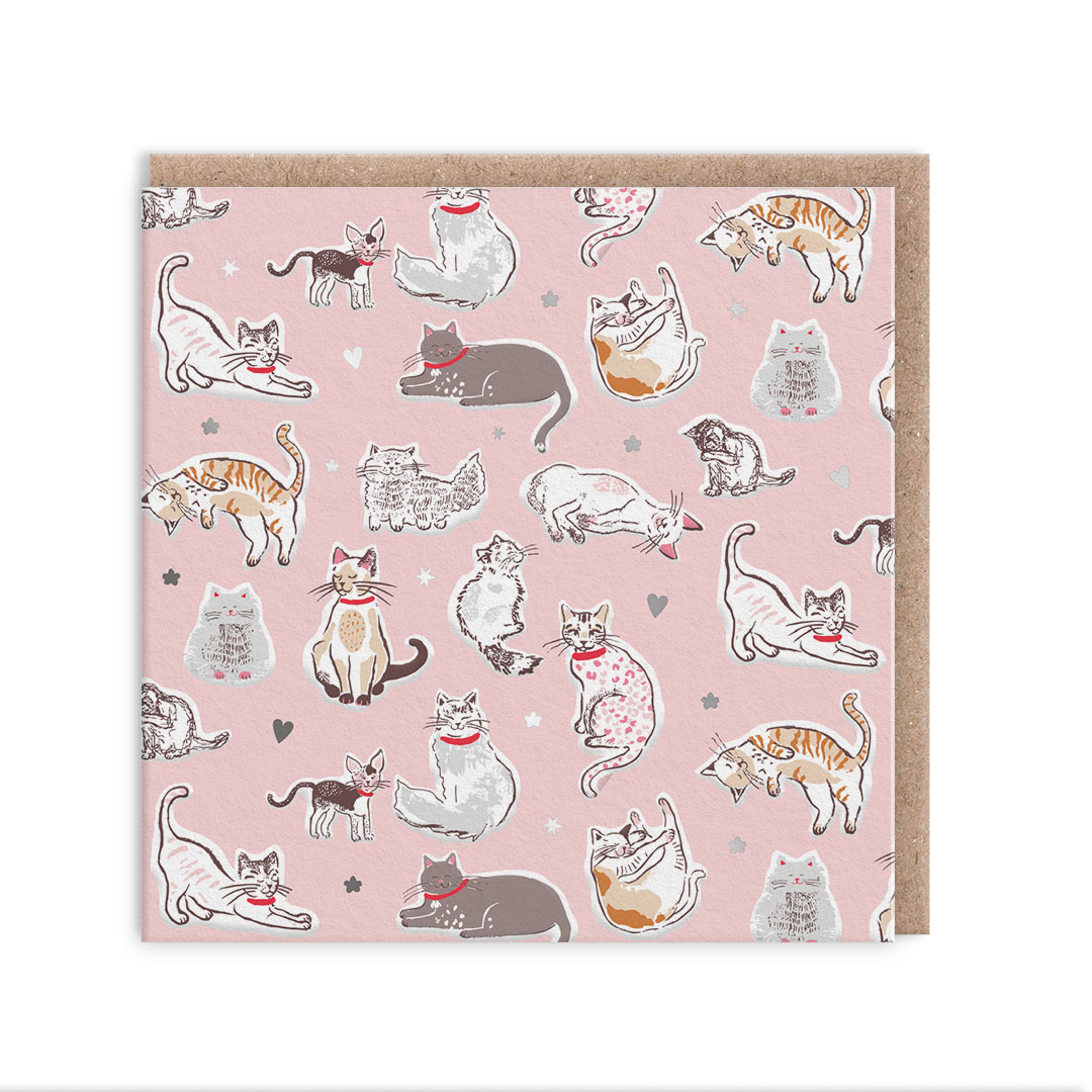 Picture of Cats Greeting Card (105 x 105mm) (14270)