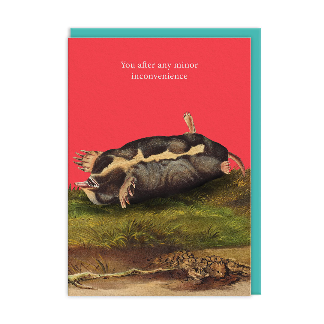 Picture of Minor Inconvenience Greeting Card (14333)