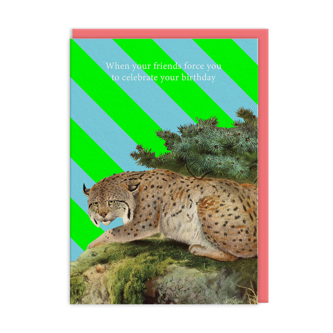 Picture of Grumpy Cat Greeting Card (14337)
