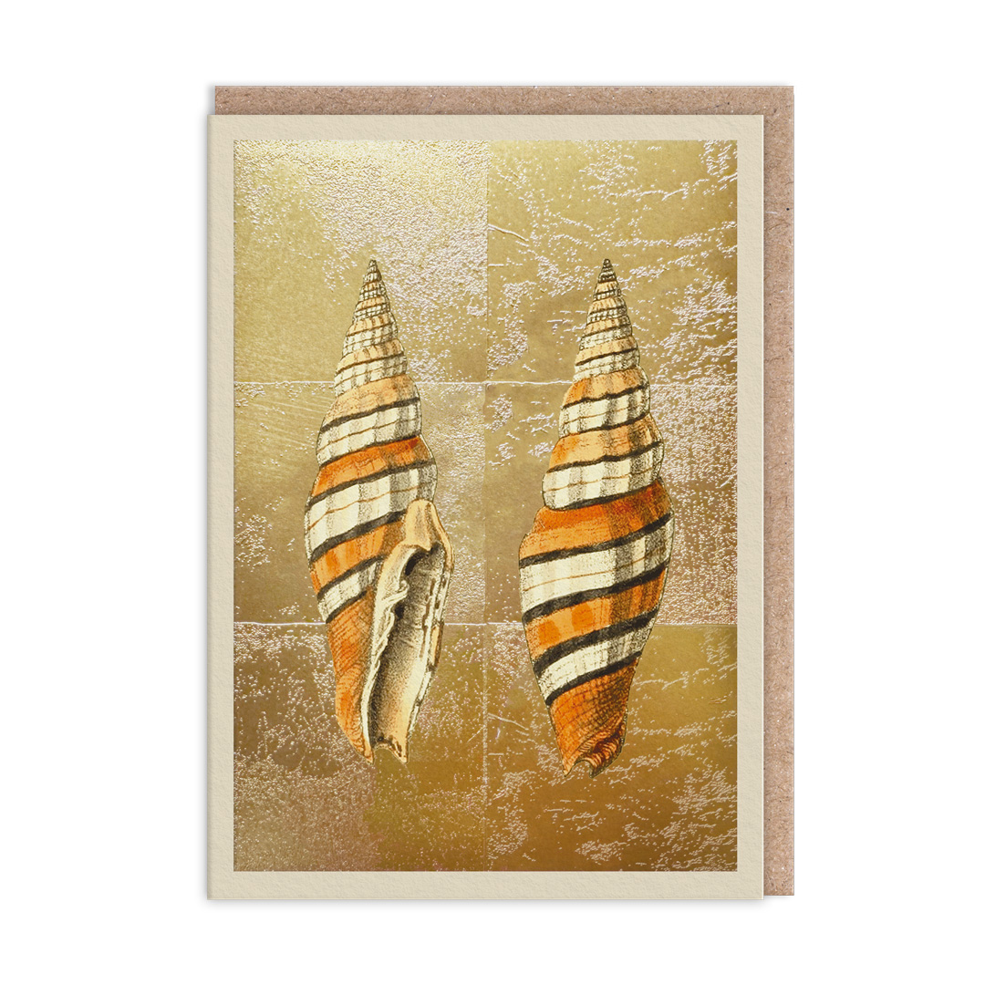 Picture of Shells Mini Greeting Card (14372)