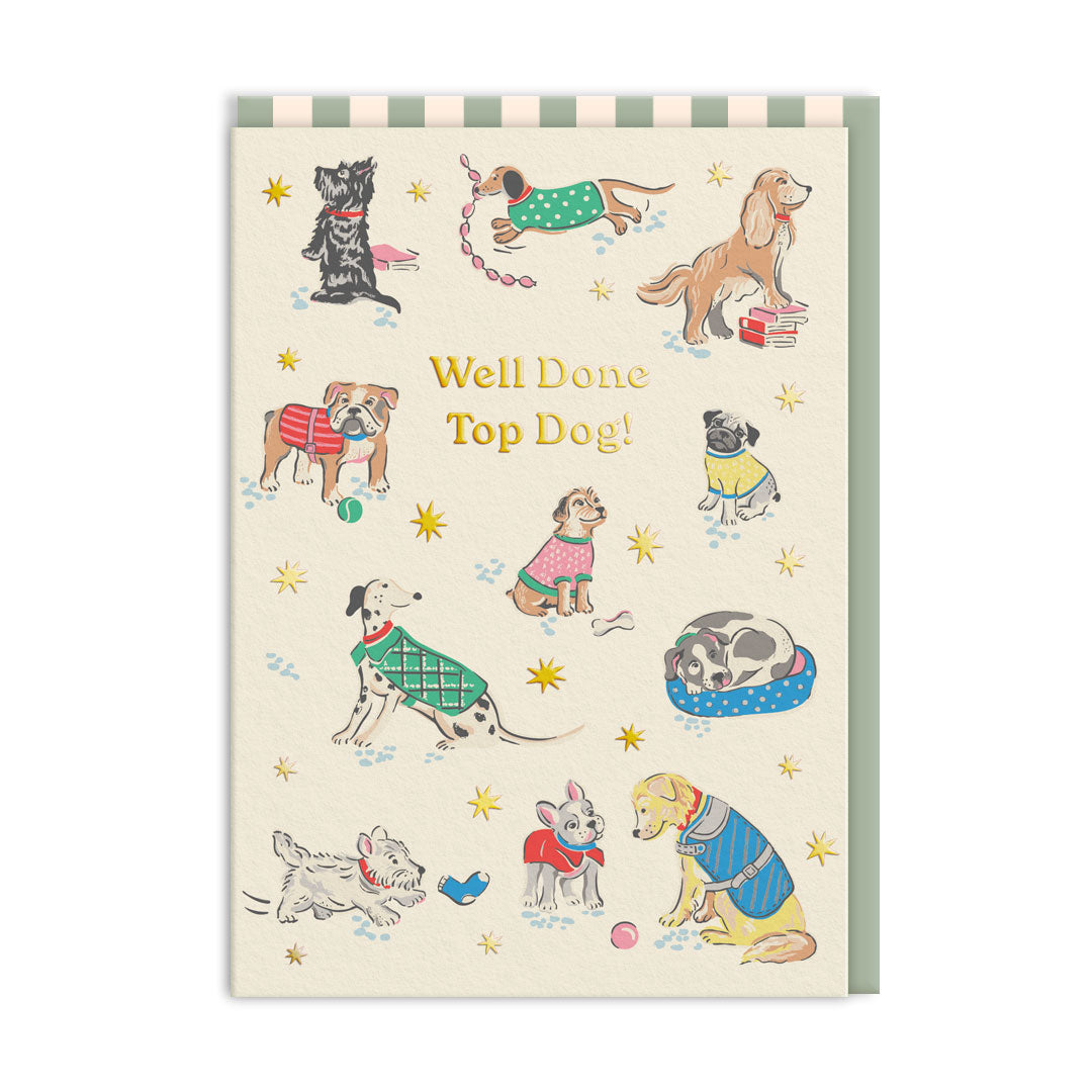 Picture of Congratulations Top Dog Greeting Card (11531)