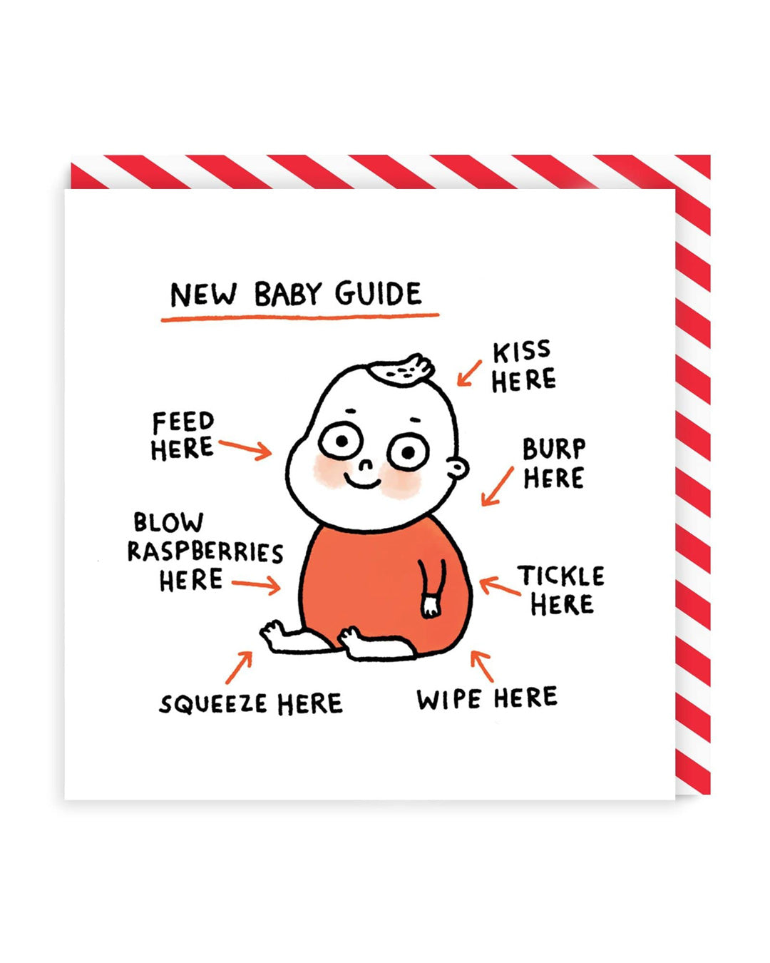 Picture of New Baby Guide Greeting Card (923)