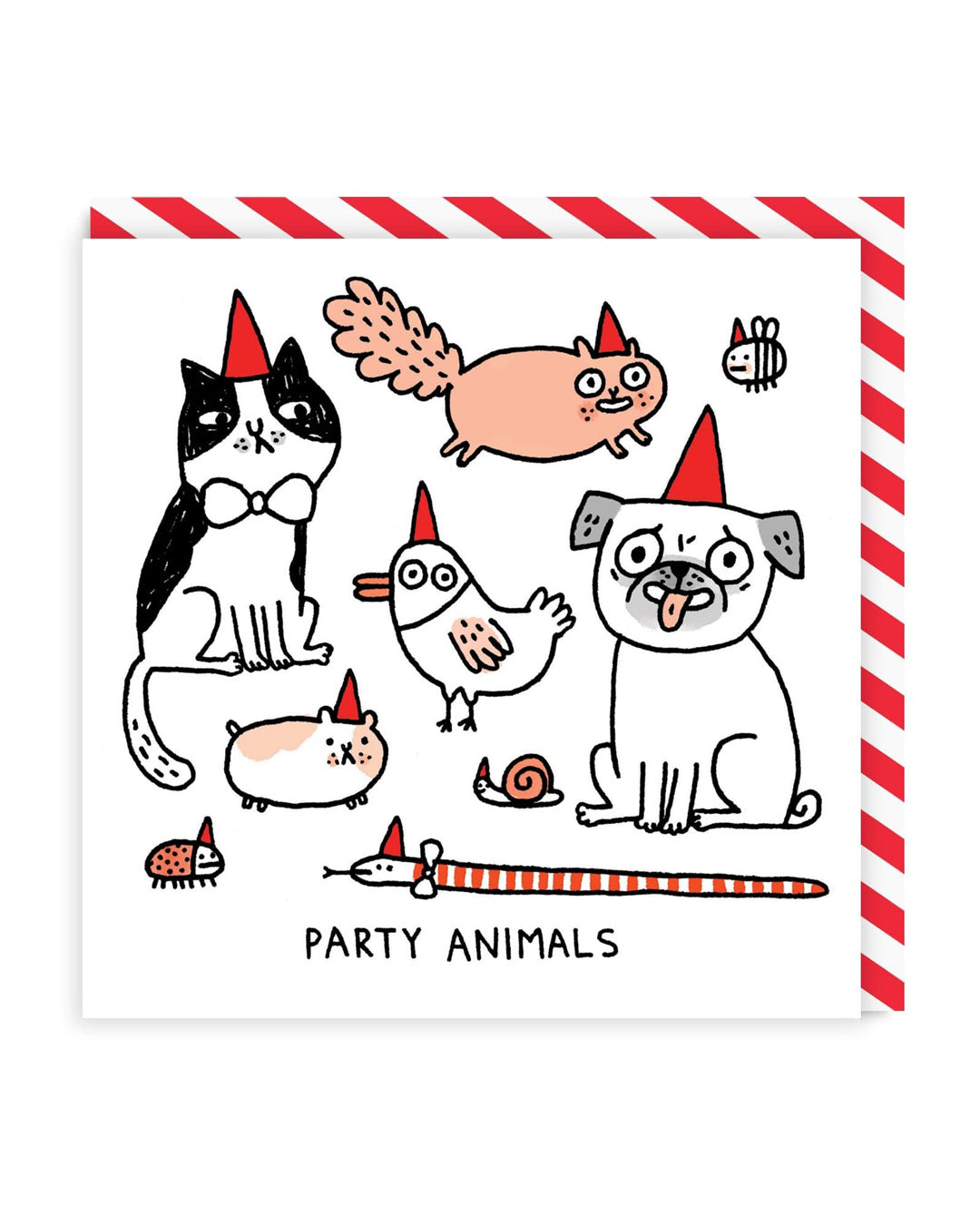 Picture of Party Animals Greeting Card (933)
