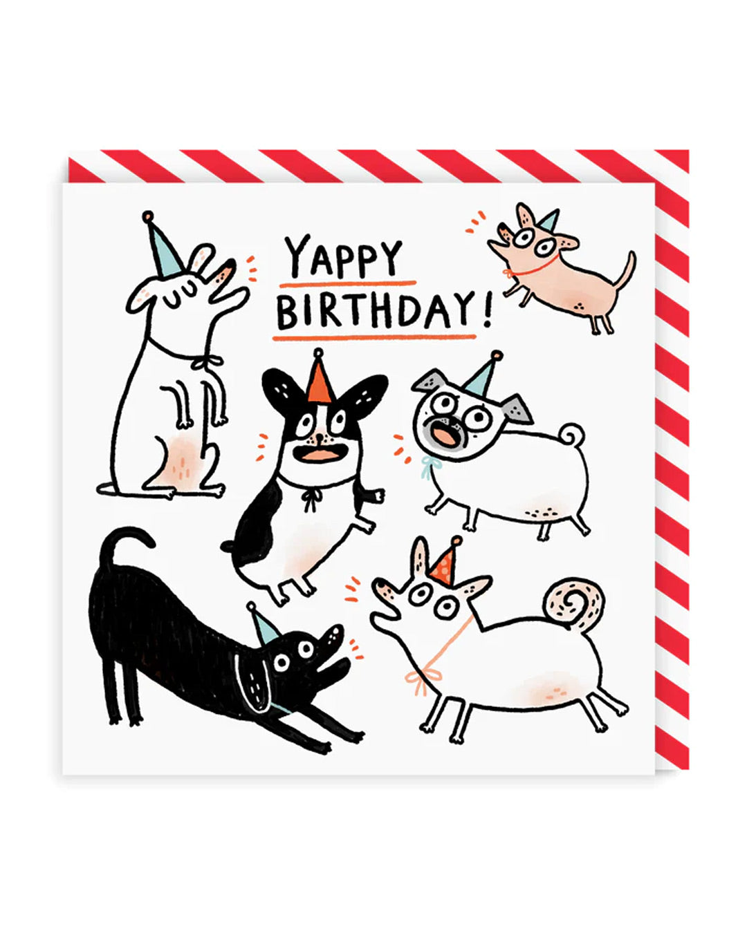 Picture of Yappy Birthday Greeting Card (4904)