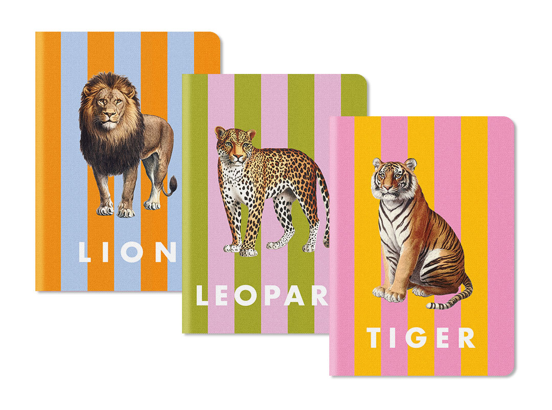 Picture of Striped Stitched Notebook Set (12230)