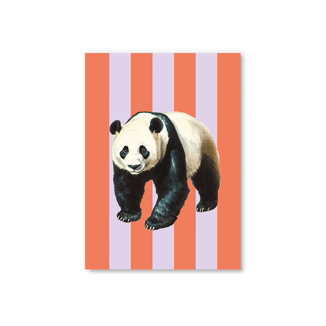 Picture of Striped Panda Postcard (12330)