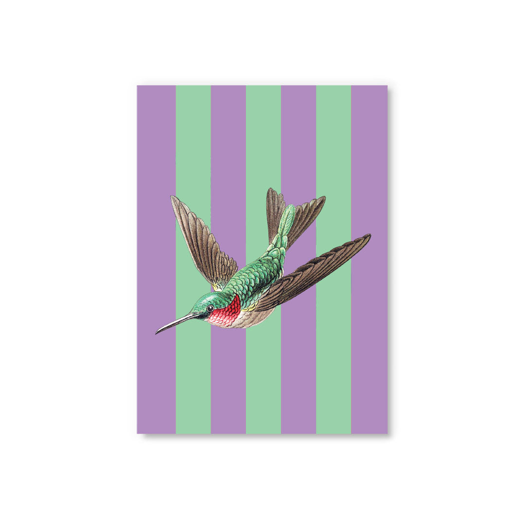 Picture of Striped Hummingbird Postcard (12336)