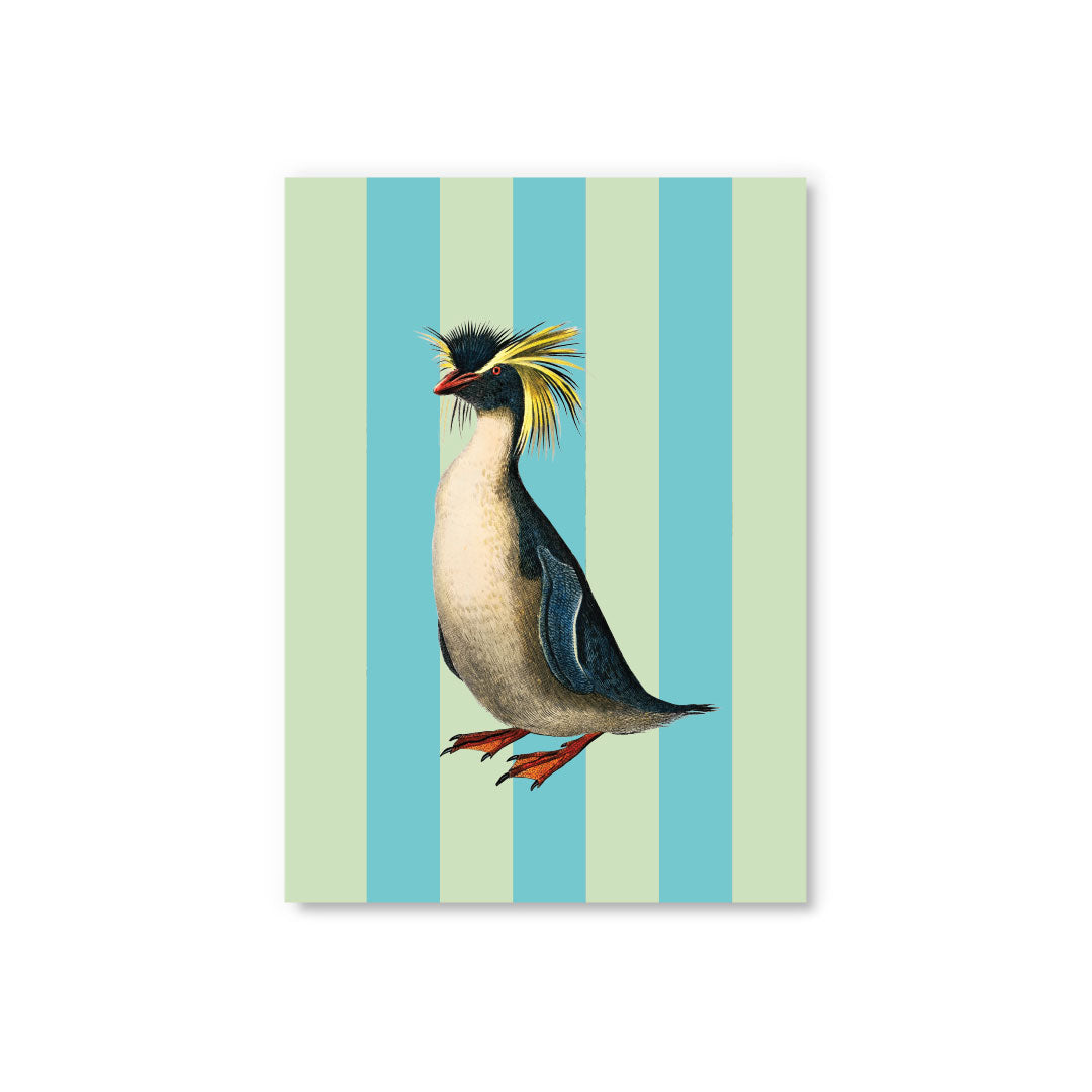 Picture of Striped Penguin Postcard (12337)