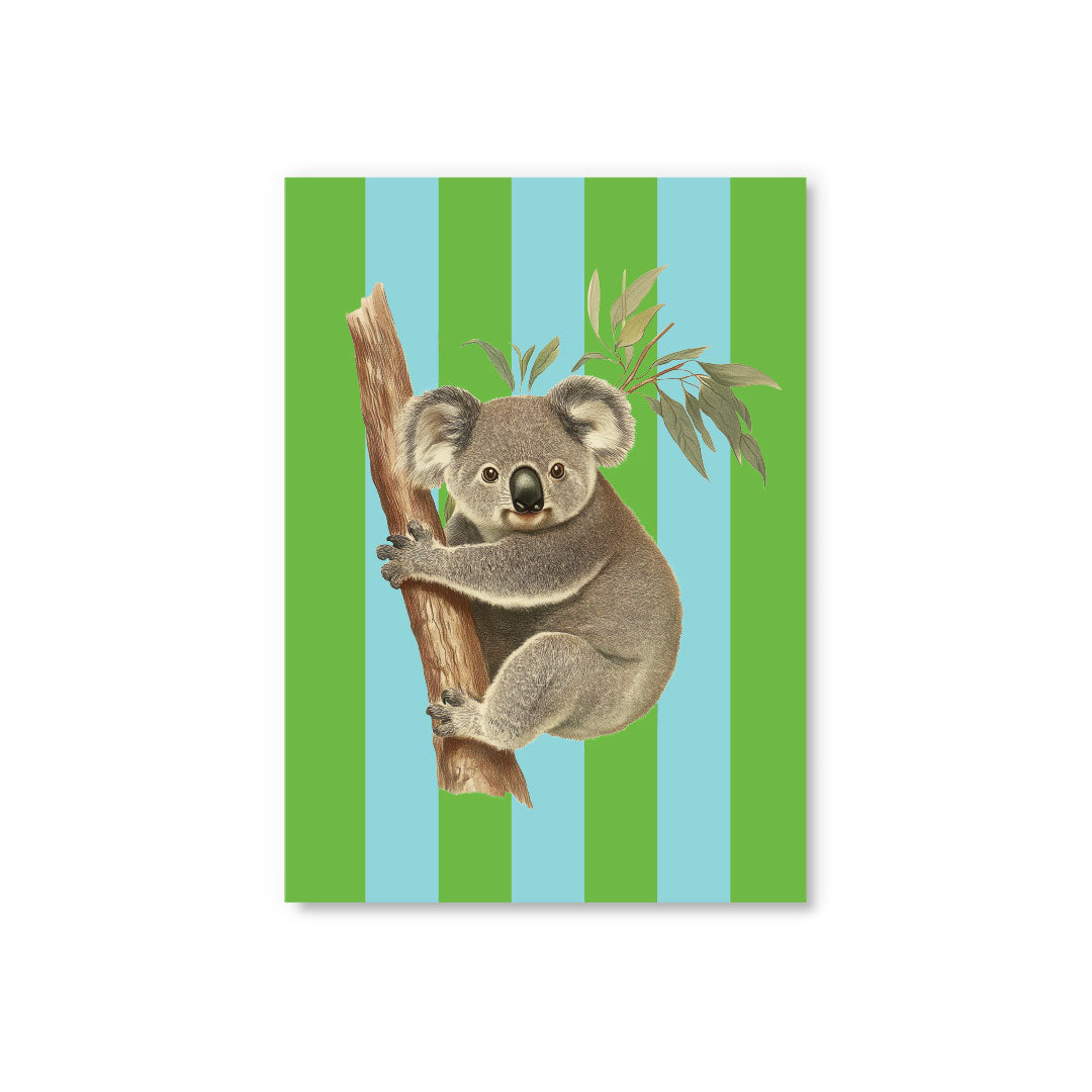 Picture of Striped Koala Postcard (12338)