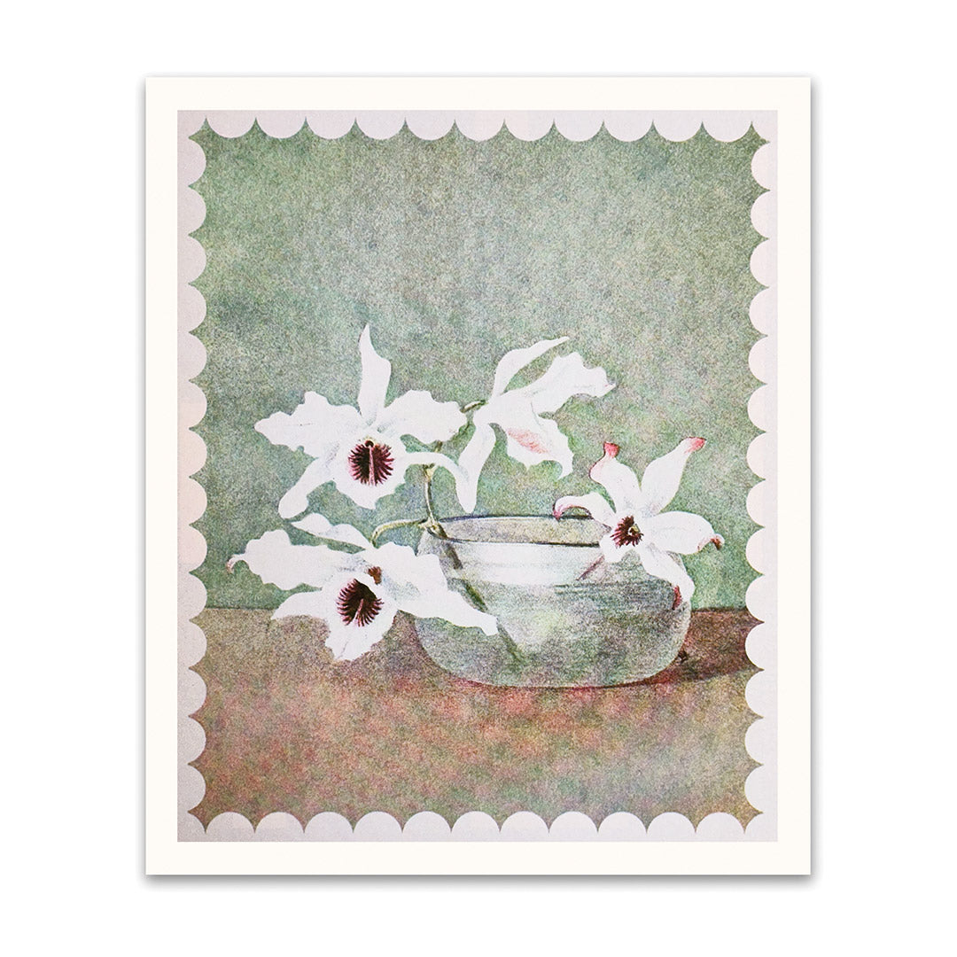 Picture of White Orchid In Water Riso Print (10x12) (12211)
