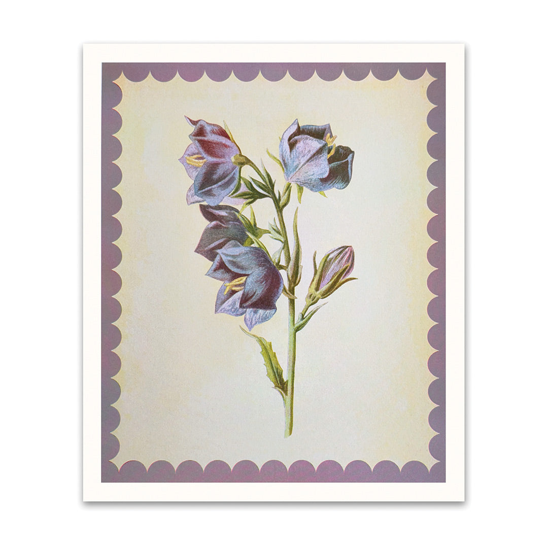 Picture of Giant Bell Flower Riso Print (10x12) (12464)
