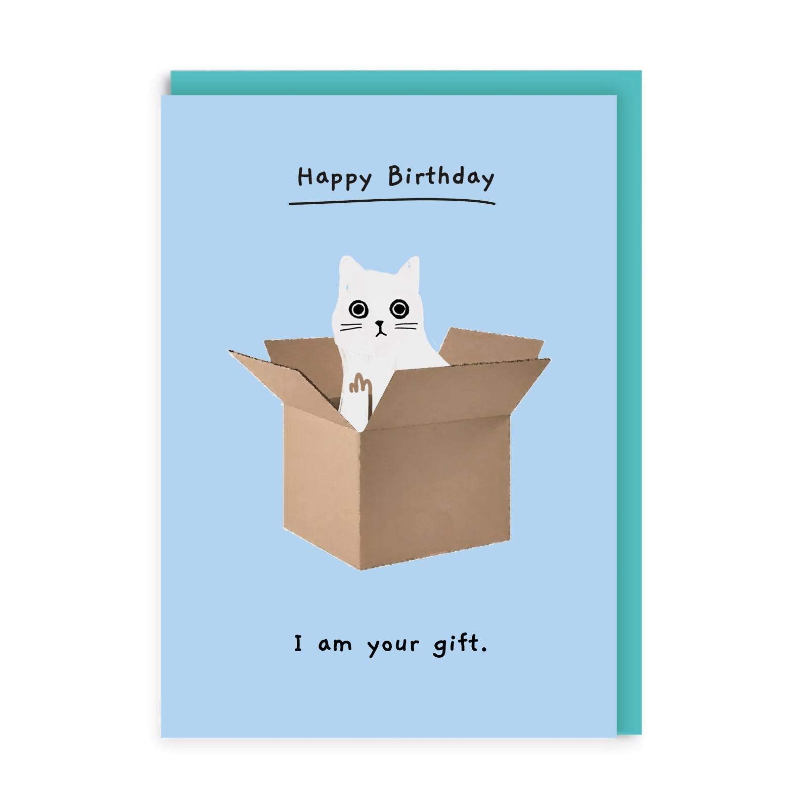Picture of Cat In A Box Greeting Card (8819)