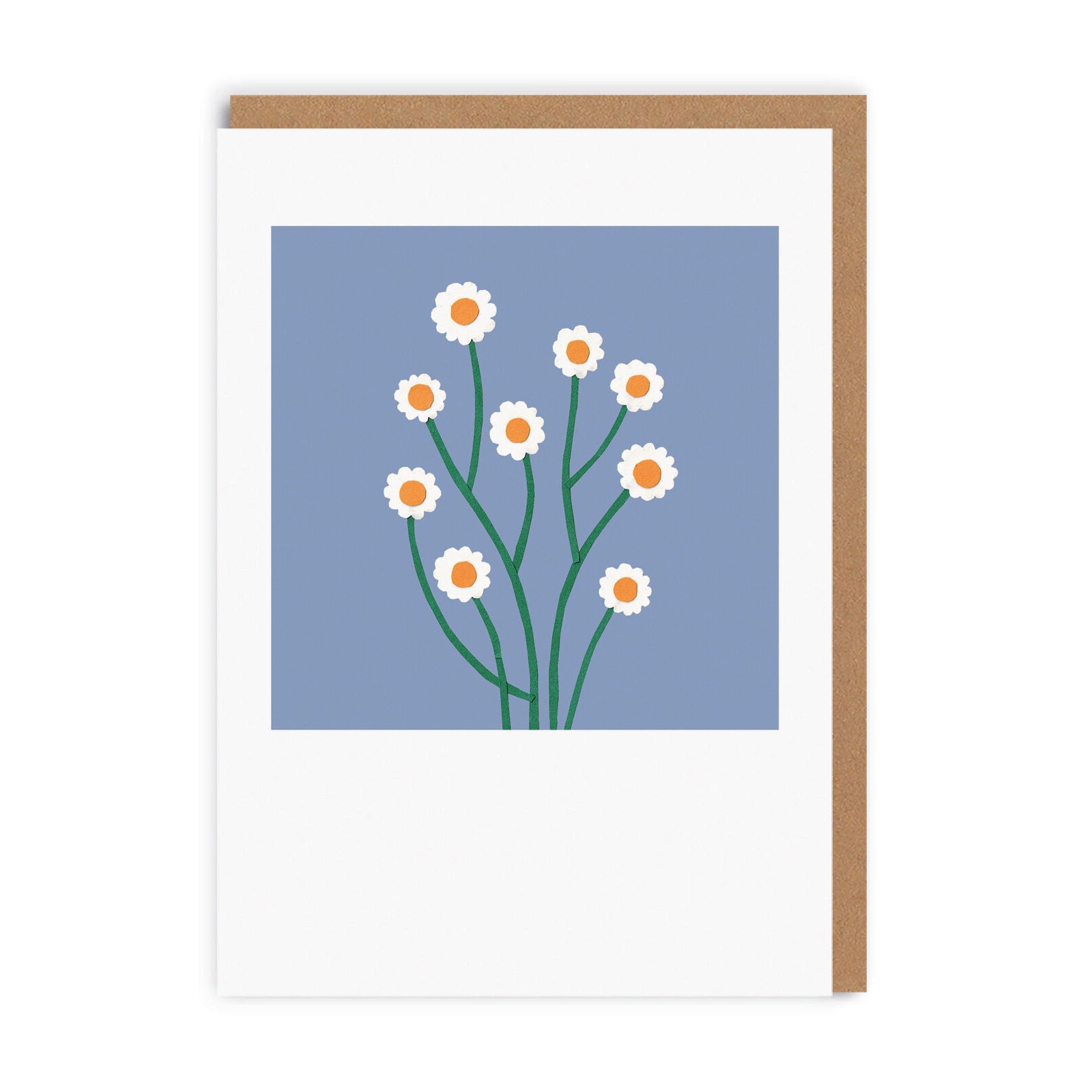 Picture of Dasies Greeting Card (7456)