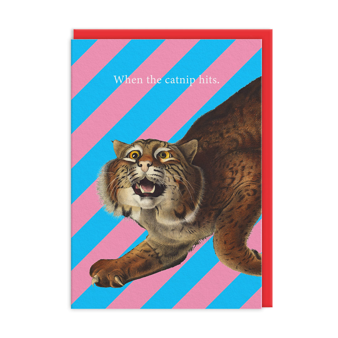 Picture of Catnip Hits Greeting Card (12238)