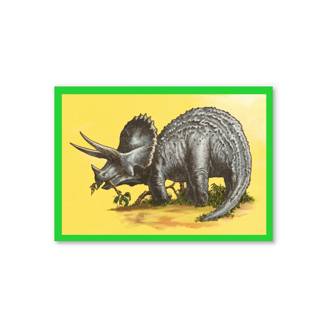 Picture of Triceratops Postcard (12341)