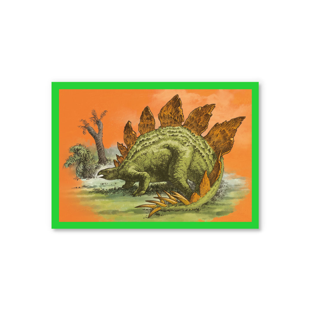 Picture of Stegosaurus Postcard (12342)